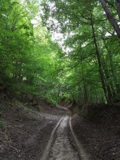 Zselic Szíve Parasztház - Simonfa - 4