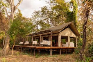 Glamping Los Palmares - - 0