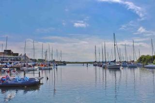 Hideaway Cabin for two on edge of New Forest - Hinton - 3