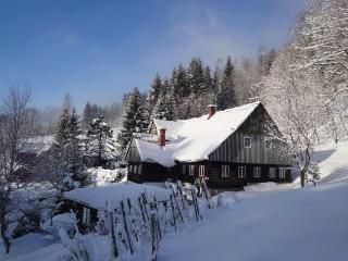 Chalupa Rokytnice - Rokytnice nad Jizerou - 9