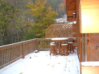 Glens of Antrim Mountain Cabin - Waynesville - 9