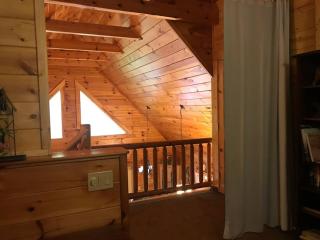 Glens of Antrim Mountain Cabin - Waynesville - 5