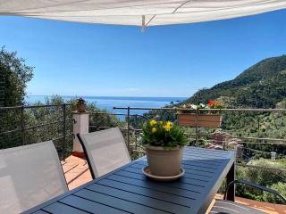 Sunrise apartament - Monterosso al Mare - 0