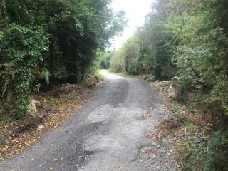 Yurt luxury + Bathhouse - 9