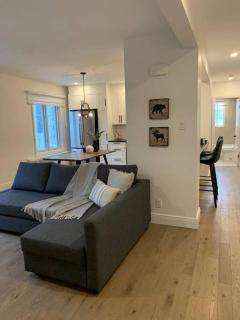 Free Parking, Beautiful 4 1/2-2 BR apartment - Montreal - 9