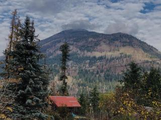 Cozy Log Cabin In Pristine Nature - Nelson - 3