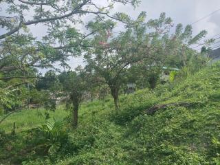 Royal Ridge Villa - 5