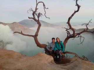 Thalia Homestay & Ijen Bromo Tour - Banyuwangi - 3