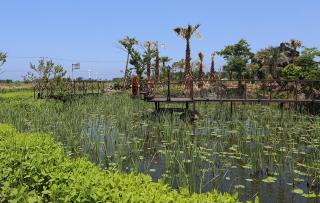 Gentle Resort - 4
