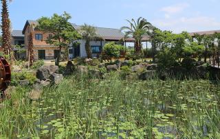 Gentle Resort - Jeju - 2