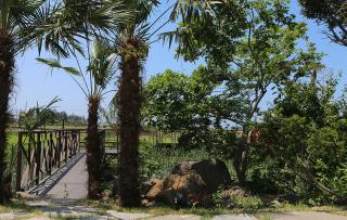 Gentle Resort - 3