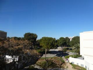 Appartement T2 avec loggias, face aux thermes, parking privé, WIFI gratuit, animaux admis - Balaruc - FR-1-503-138 - 9