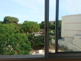 Appartement T2 avec loggias, face aux thermes, parking privé, WIFI gratuit, animaux admis - Balaruc - FR-1-503-138 - Balaruc-les-Bains - 7