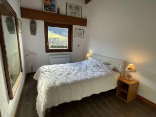 Charmant 2P cabine 35m², proche pistes et village, parking, 4 pers. - FR-1-603-71 - Praz-sur-Arly - 4