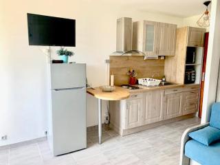 Studio cosy avec climatisation et wifi, animaux acceptés à Balaruc-les-Bains - FR-1-503-157 - 8