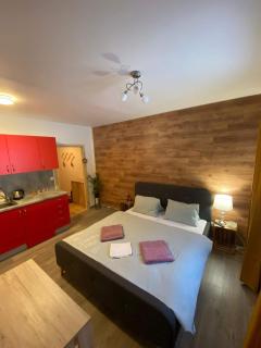 Terasy Apartmán se saunou - Železná Ruda - 0