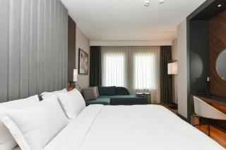 Crowne Plaza Ankara by IHG - Ankara - 3