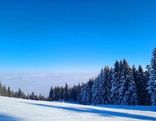 Flora Ski-slope Studio Apartment - Borovets - 9
