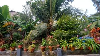Grand marari - Alleppey - 6