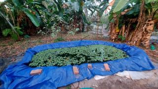 Grand marari - Alleppey - 7