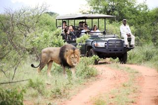 Karongwe Portfolio - Chisomo Safari Camp - Hoedspruit - 2
