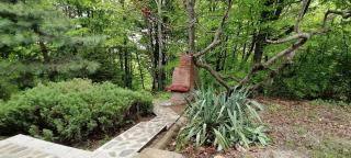 Cabana din Padurea Valeni - Vălenii de Munte - 7