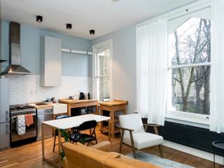 Charming and Spacious Apartment in Central Brixton - Londra - 3