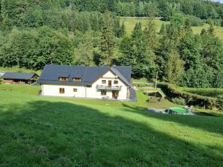 Apartmány u Petra - Lipova Lazne - 1