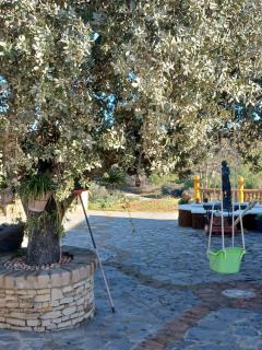 VILLA MARTINEZ ALQUILER RURAL ISABEL - Alcalá del Valle - 4