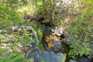 Nature Stay with Views Like No Where Else - Custer - 8