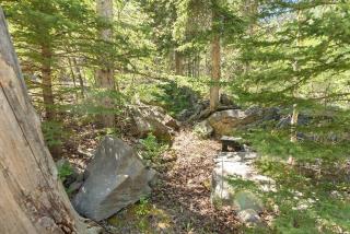 Nature Stay with Views Like No Where Else - Custer - 4
