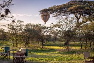 Gnu Ndutu Camp - Sinoni - 0