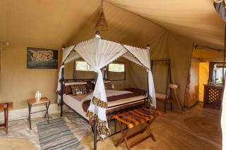 Gnu Ndutu Camp - Sinoni - 4