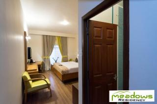 Meadows Residency - 2