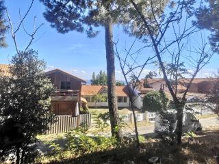 La cabane du Truquet - Lège-Cap-Ferret - 0