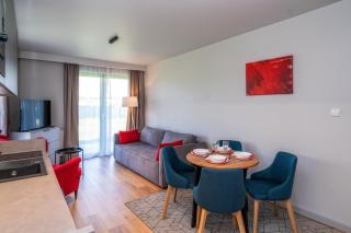 Apartamenty Sun & Snow Resorts B Białka Tatrzańska z sauną - Białka Tatrzańska - 7