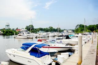 The Sandy Oyster - 4