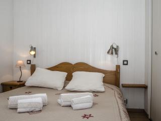 Appartement central à Chamonix avec WiFi et animaux acceptés - FR-1-343-216 - Chamonix-Mont-Blanc - 2