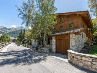 Élégant 4 pièces avec terrasse plein Sud, cheminée, parking couvert, au centre proche pistes et commodités - FR-1-694-91 - Val-d'Isère - 2