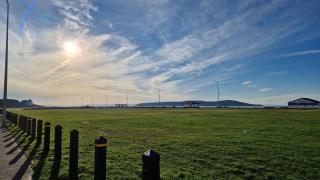 The Beach Weston - 8