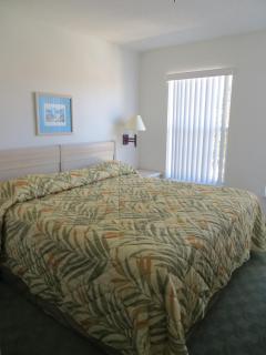 Berkley Lake Townhomes - Kissimmee - 5
