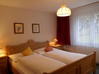 Apartment Chalet Wyssefluh by Interhome - Grindelwald - 8