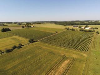 Gîte avec piscine au cœur de la campagne - - 2
