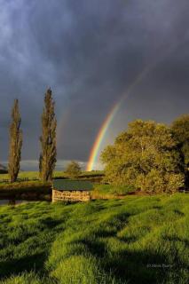 The Crofters Cottage - Underberg - 8