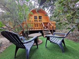 Ma cabane au fond du jardin - 3