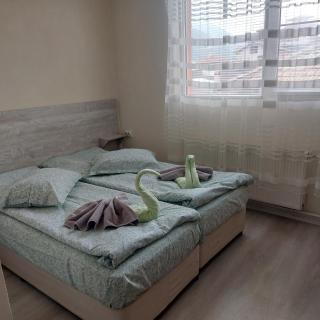 Guesthouse Pumpalovi - Dobrinishte - 3