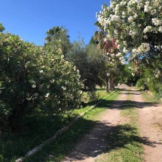 San Rafael del Diamante apartamentos - 6