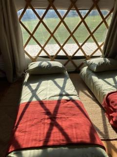 Redwood - the BIG yurt - 3
