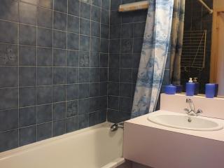 Studio cabine 24 m², 4 pers, près télésiège - FR-1-636-95 - 5