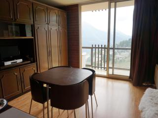 Studio cabine 23m² pour 4 personnes proche des pistes - FR-1-636-127 - Orcières - 0